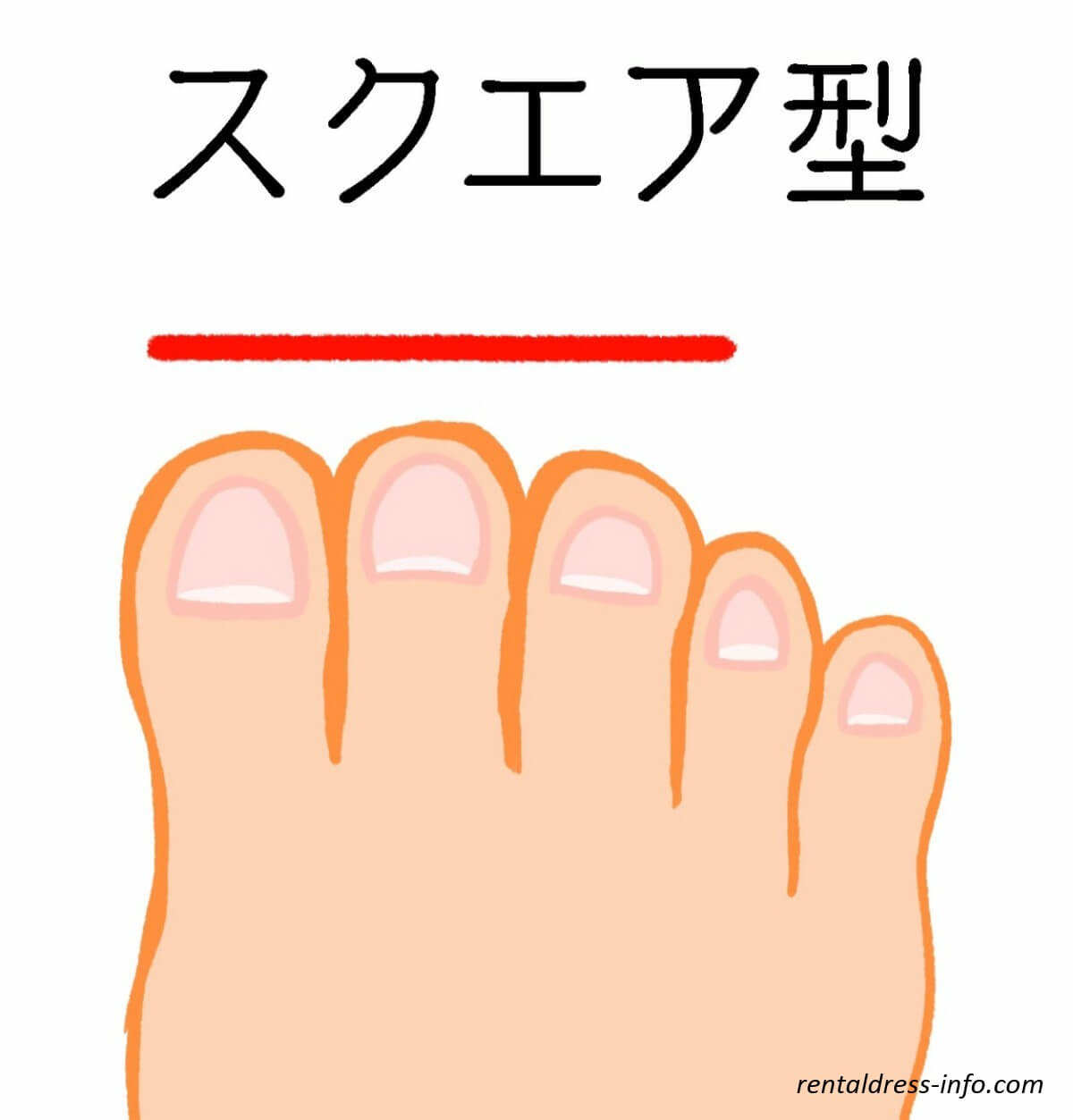 スクエア型
